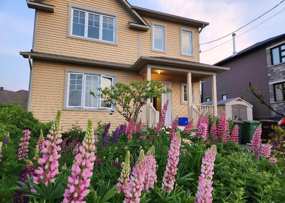 Maison Chaleureuse, Energetique Et Florale Sherbrooke Buitenkant foto
